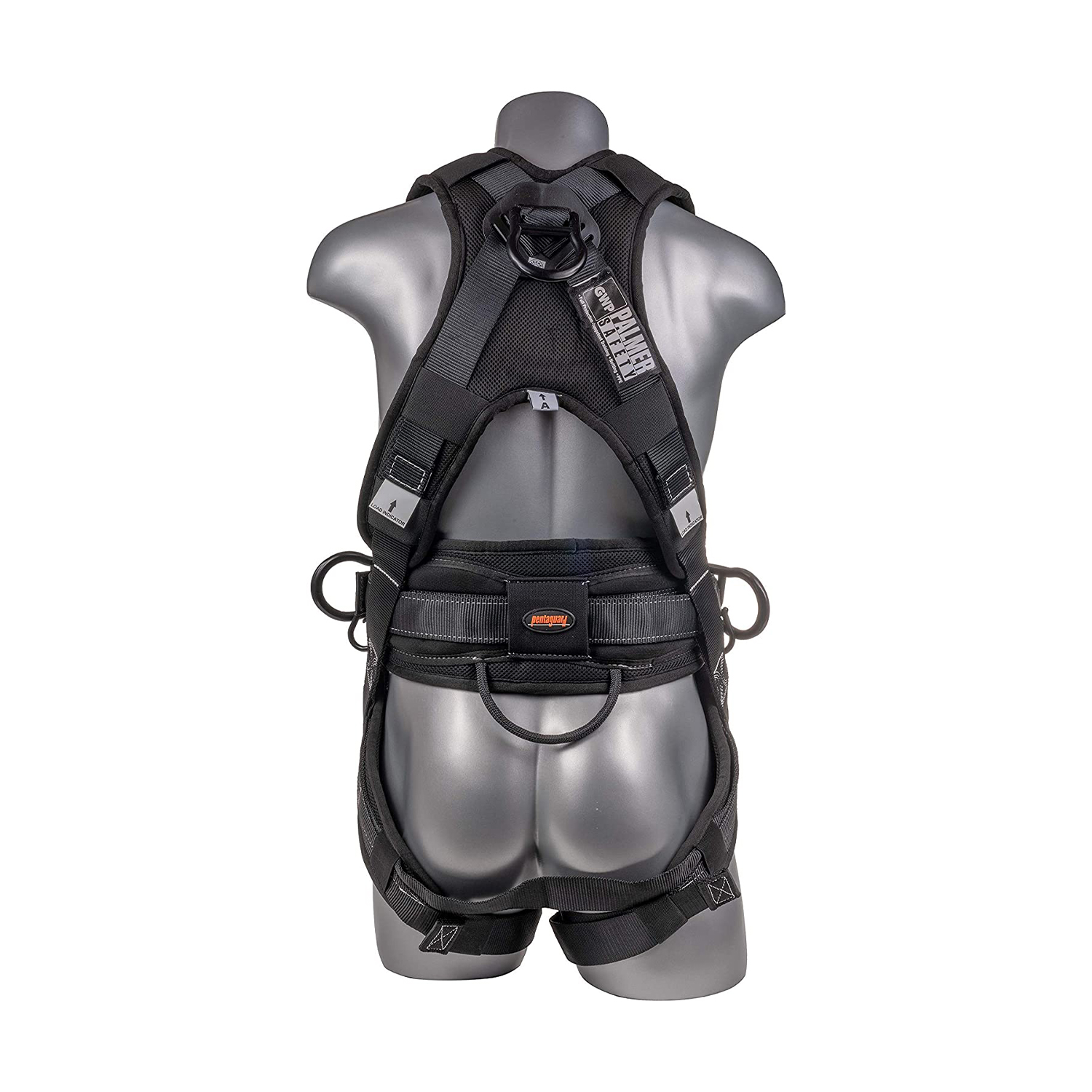 Premium 5 Point Harness QCB Padded Back and Legs I Plank Supply